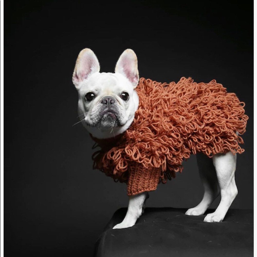 NEW Max Bone Curly Knit Jumper Brown Dog Sweater